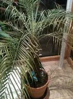 Foto 1.webp