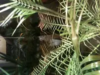 Foto 2.webp