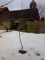 11012011312n.webp