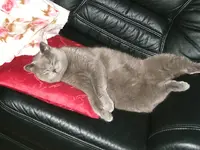 DSCF4806.webp