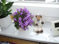 glockenblume.webp