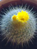 07032010580.webp