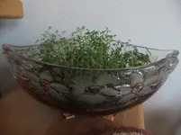DSCF2258.webp