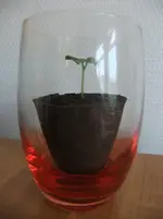 DSCF2255.webp
