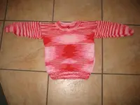 Pulli BW.webp