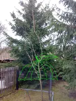 11012011311n2.webp