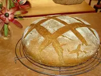 Brot (1)v.webp