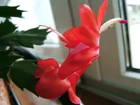 DSCF4822.webp