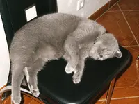 DSCF4824.webp