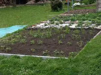 garten (2).webp