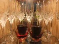 DSCF2270.webp