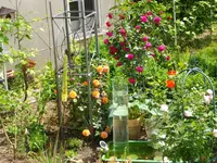 001.webp