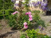 012.webp