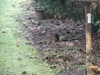 DSCF0090.webp