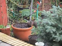 DSCF0093.webp