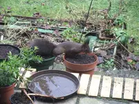 DSCF0096.webp