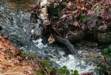 natürliche Stauung_small.webp