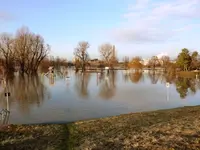 P1030481_Web.webp