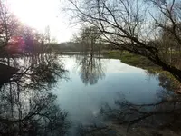 PPark_Holzsteg_Web.webp