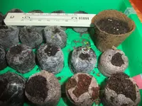 DSCF2273.webp