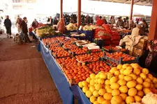 IMG_9810.webp