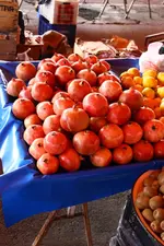IMG_1266.webp