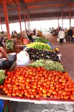 IMG_1263.webp