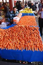 IMG_1260.webp