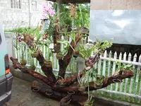 k-!So fing es an.webp