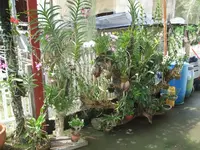 k-3 Jahre später.webp