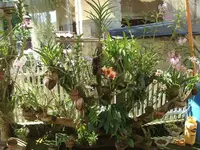 k-3 Jahre später!.webp