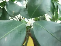 DSCF2286.webp