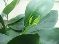 DSCF2283.webp