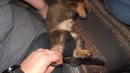 DSCF4784.webp