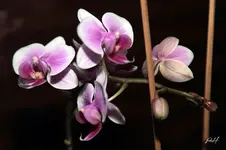 blog_6388.webp