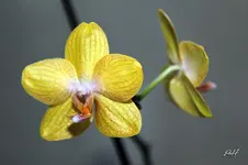 blog_6380.webp