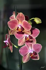 blog_6374.webp