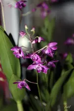 blog_6368.webp