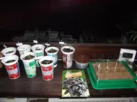 DSCF3023.webp