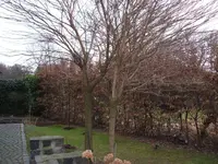 DSCF4449.webp