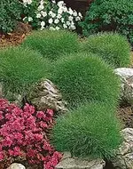 14109_1.webp 14109_1.webp