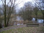 _Biotop-März-Teich im Gelände.JPG