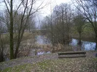 _Biotop-März-Teich im Gelände.webp