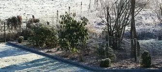 verfroren1.webp