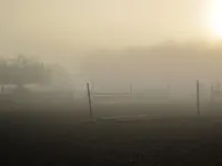 hindernisse im morgennebel.webp