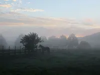 Farm am Morgen.webp