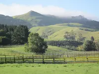 farm 02.webp