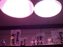 100_2157.webp