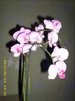 JD500214.webp