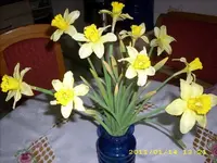 JD500213.webp